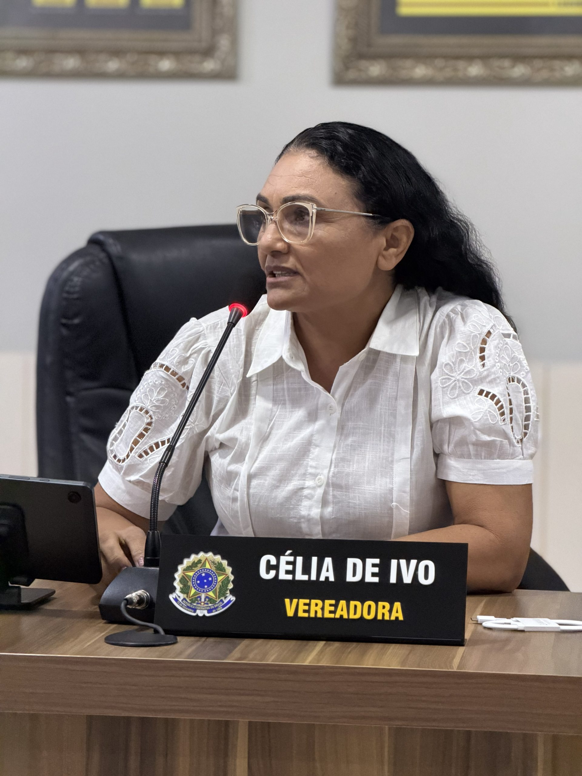 Marilene Ferreira D. Costa